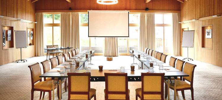 瑞欧亚普木屋温泉酒店(Chalet RoyAlp Hotel and Spa)图片