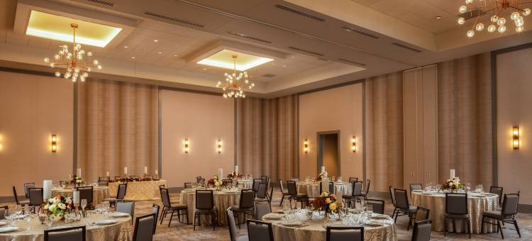 南本德希尔顿大使套房酒店(Embassy Suites by Hilton South Bend at Notre Dame)图片