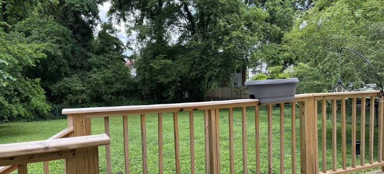 Beautiful Bungalow in Historic District! Sleeps 8.图片