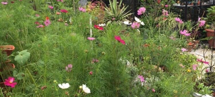 Amazing Views, Nightly star-filled skies, friendly farm animals...图片