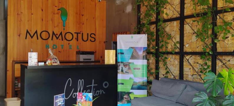 莫莫特斯酒店(Hotel Momotus Tuxtla, en El Centro - Acceso autónomo)图片