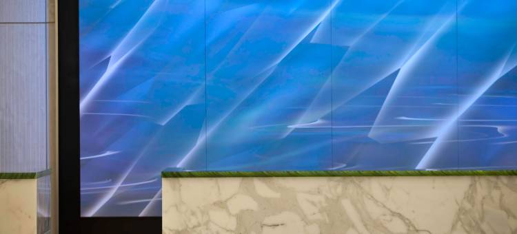 阿灵顿首府美景万丽酒店(Renaissance Arlington Capital View Hotel)图片