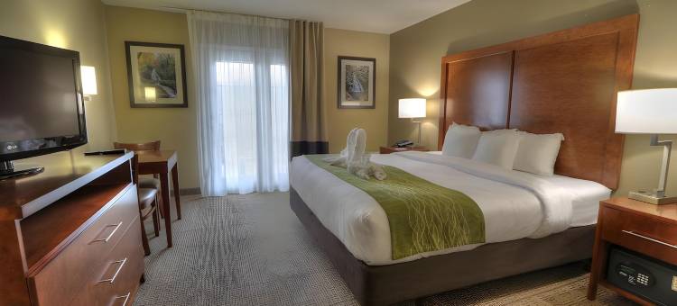 多利伍德街舒适酒店(Comfort Inn & Suites at Dollywood Lane)图片