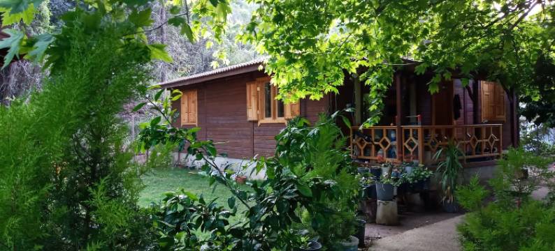 马吉村庄酒店(Maji Village)图片