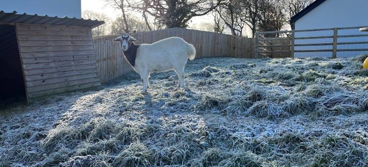 日出圆顶帐篷(Sunrise Dome Tent)图片