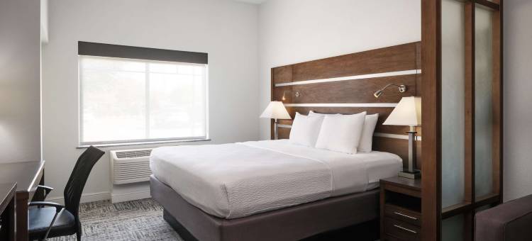 克利奇站贝斯特韦斯特优质套房酒店(Best Western Plus College Station Inn  Suites)图片