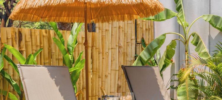 卡萨天堂圣特雷莎(Casa Heaven Santa Teresa Beachside)图片