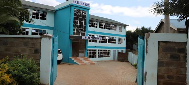 凯里乔蓝色棕榈酒店(Blue Palm Hotel)图片