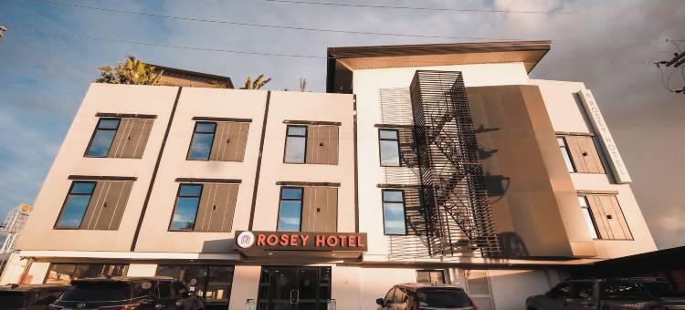 罗西酒店(Rosey Hotel)图片