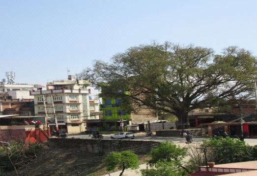 MeroStay 109 B N B Hotel Overview