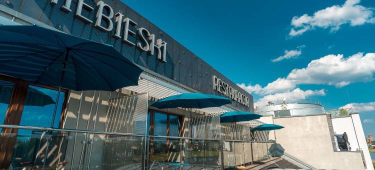 蓝色艺术水疗酒店(Niebieski Art Hotel & Spa)图片
