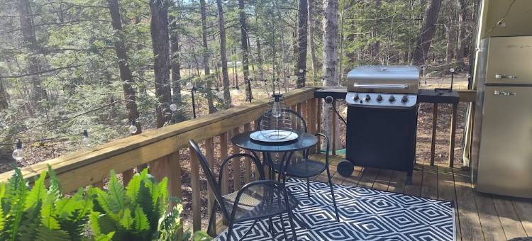 Dog/Family Friendly A-Frame! Walk to Lake/Kayak Use in the Berkshires!图片