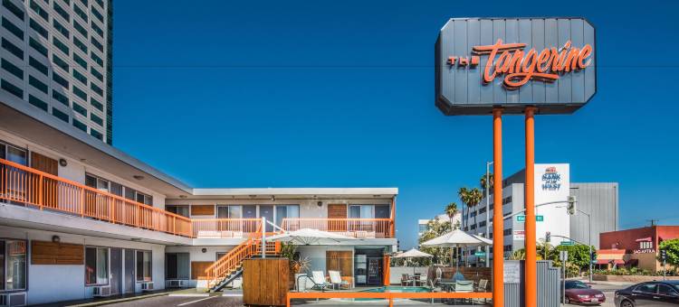 橘子 - 洛杉矶的布班克酒店(The Tangerine - a Burbank Hotel)图片