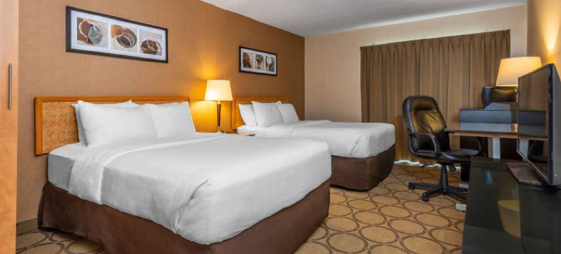 舒适酒店(Comfort Inn)图片