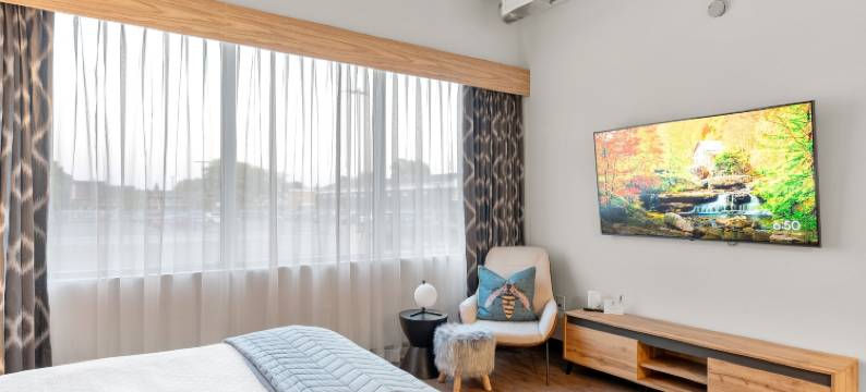 尼亚加拉罐头厂阁楼酒店(Cannery Lofts Niagara)图片