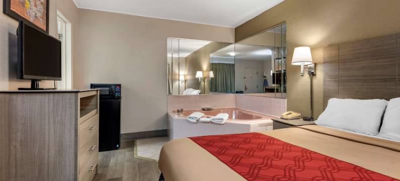 德威特 I-90 伊克诺旅馆(Econo Lodge Dewitt I-90)图片