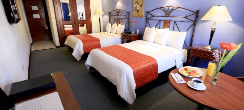 艾米丽酒店(Hotel Emily)图片