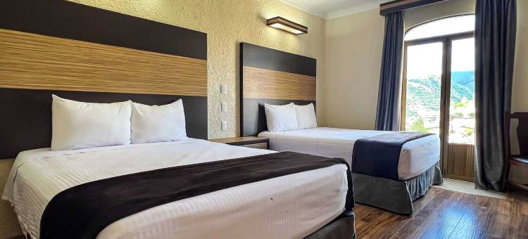 帕塞奥德拉普雷萨酒店(Hotel Paseo de la Presa)图片