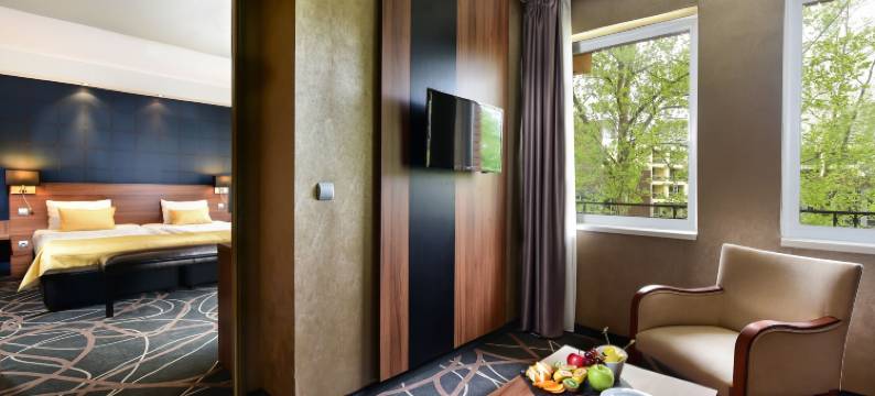 亚祖尔希欧福克酒店(Hotel Azur Siofok)图片