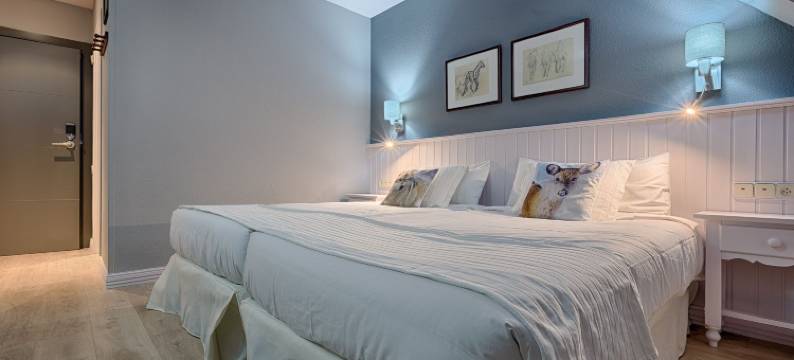 里巴埃塔酒店(Hotel Ribaeta)图片