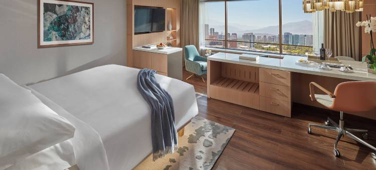 圣地亚哥文华东方酒店(Mandarin Oriental, Santiago)图片