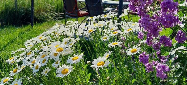 小农场膳宿公寓(Penzion mala farma)图片