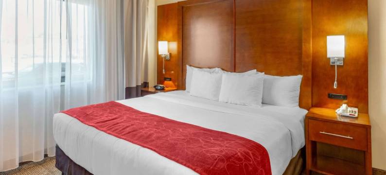 橡树溪阳台近橡树溪中心舒适全套房酒店(Comfort Suites Oakbrook Terrace Near Oakbrook Center)图片