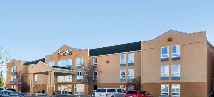 舒适套房酒店(Comfort Inn & Suites)图片