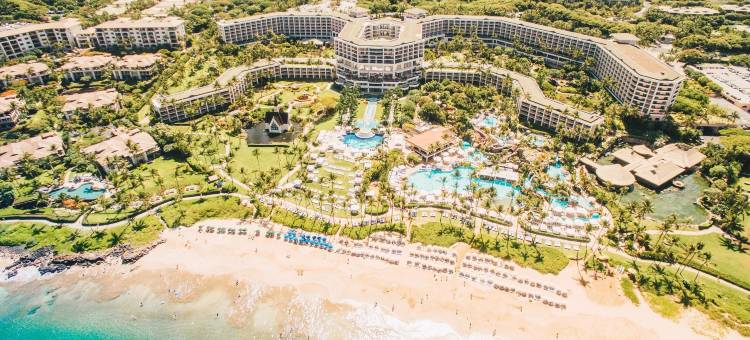 大韦利亚华尔道夫度假酒店(Grand Wailea Resort Hotel & Spa, A Waldorf Astoria Resort)图片