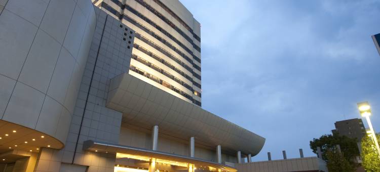 甲府纪念日酒店(Kofu Kinenbi Hotel)图片