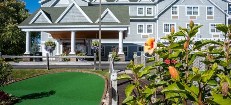 北康威舒适套房酒店(Comfort Inn & Suites North Conway)图片