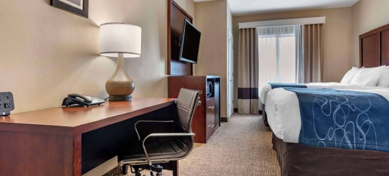 佩尔城靠近洛根马丁湖的康福特套房(Comfort Suites Pell City Near Logan Martin Lake)图片