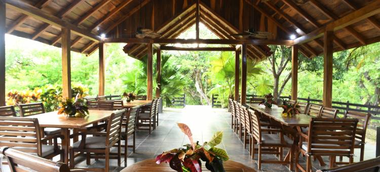 巴里戈纳牧场酒店(Hacienda Barrigona)图片