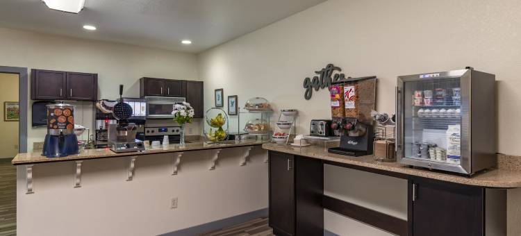 住宿一晚套房酒店(Stay-over Suites - Fort Gregg-Adams Area)图片