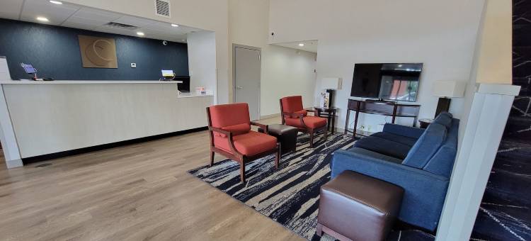 贝瑟默伯明翰南舒适酒店(Comfort Inn Bessemer Birmingham South)图片