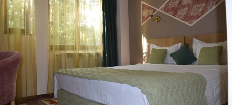 米开朗基罗酒店(Hotel Michelangelo)图片