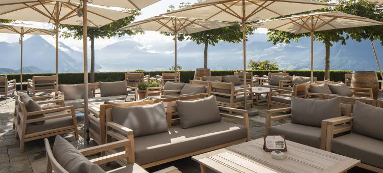 霍尼格别墅(Hotel Villa Honegg)图片