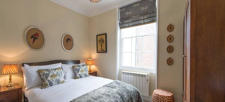 达尔文联排别墅(Darwin's Townhouse)图片