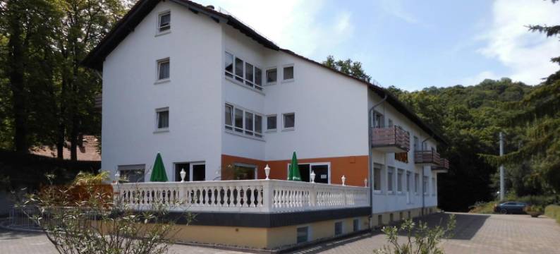 伯格酒店(Burg-Hotel)图片