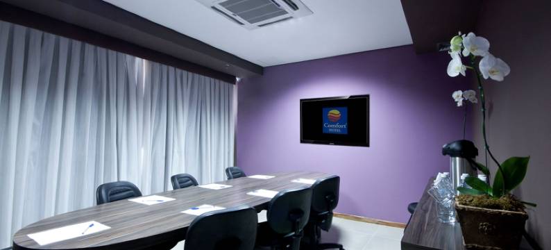 塞尔陶齐尼奥舒适酒店(Comfort Hotel Sertãozinho)图片