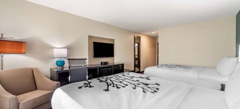 舒眠旅馆-纽贝利-科瑞恩(Sleep Inn Newberry - Crane)图片