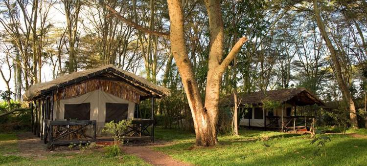 米古恩贾帐篷营地(Migunga Tented Camp)图片