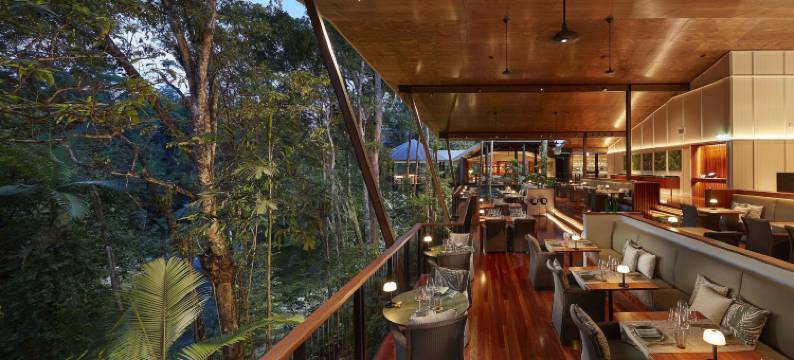 希尔奇橡树酒店(Silky Oaks Lodge)图片