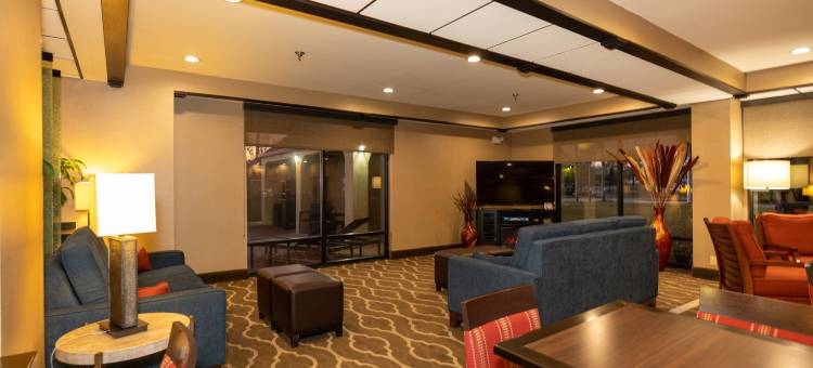 欧佩莱卡-奥本舒适酒店(Comfort Inn Opelika - Auburn)图片