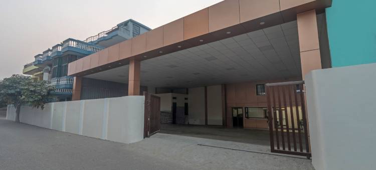 Treebo 金色卡西(Treebo Golden Kashi)图片