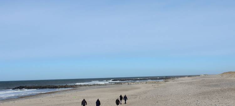 Vesterhav露营地(Camping Vesterhav)图片