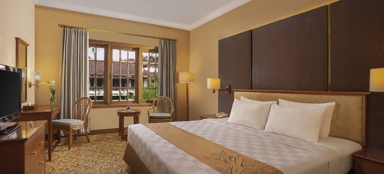 Loman Park Hotel Yogyakarta图片