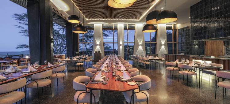 塞伦盖蒂探险者(Serengeti Explorer)图片