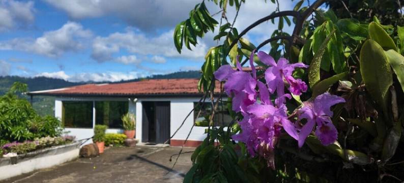 芬卡拉罗卡(Casa Campestre Finca la Roca)图片