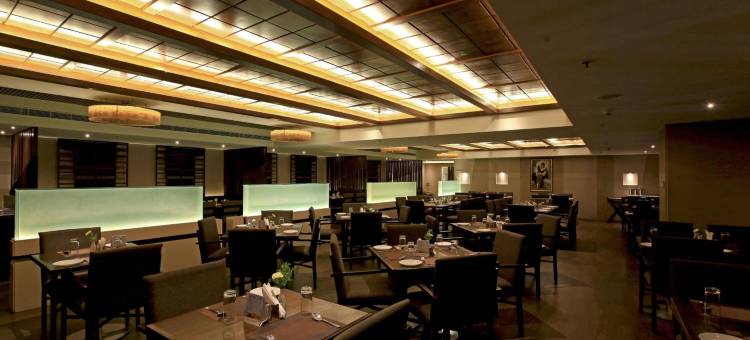 高萨姆大酒店-泰纳利(Goutham Grand Hotel)图片